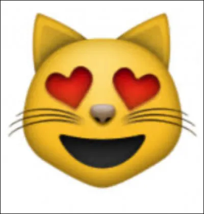 Quelle est lespérance de vie d'un chat ?