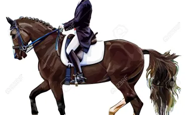 Quiz Galop 1
