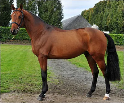 Quelle est cette robe ?