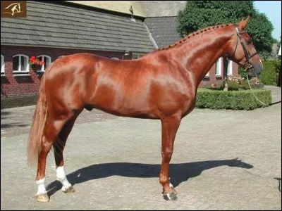 Quelle est cette robe ?