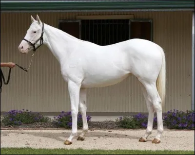 Quelle est cette robe ?