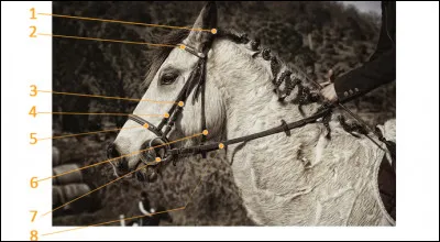 Que sont les num&eacute;ros 1, 2, 3, 4, 5, 6, 7, 8 ?