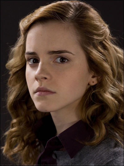Quel métier faisaient les parents d'Hermione ?