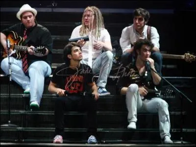 Quel est son lien avec les Jonas Brothers ?