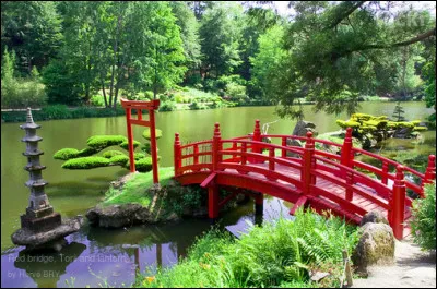 Est-ce que cela va nous mener loin ?