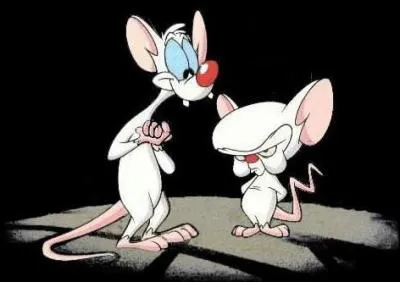 (Les Animaniacs) Comment s'appellent les souris blanches qui veulent dominer la Terre ?