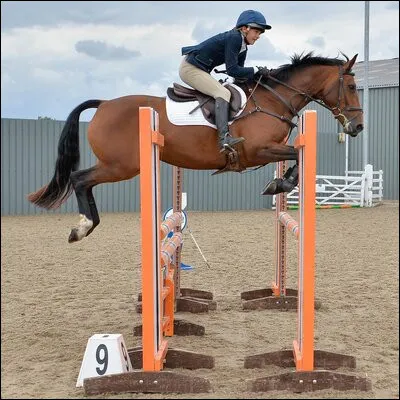 Iona Sclater, 15 ans, est décédée suite à un accident survenu en...