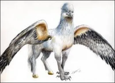 Qu'est ce qu'un hippogriffe ?