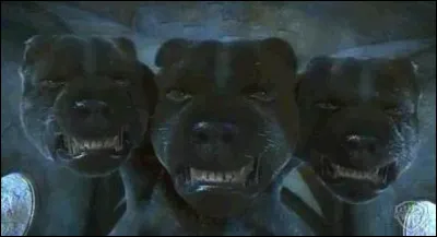 Que doit-on faire pour gagner face au chien à trois têtes ?