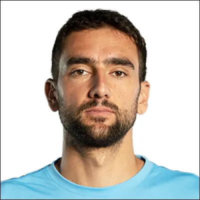 Qui est ce tennisman ?