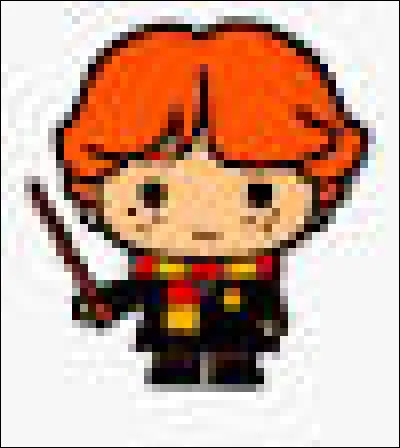 Quel métier voulait-il exercer lors de sa sixième année ?