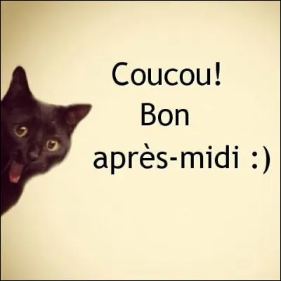 Dans le langage littéraire, comment dit-on après-midi ?