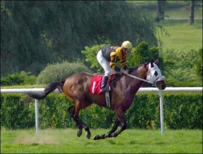 Comment s'appelle le métier des hommes qui montent les chevaux de courses ?