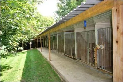 Comment s'appellent les maisons des chiens d'élevage ?