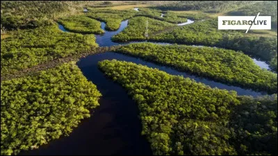 Le titre exact est...