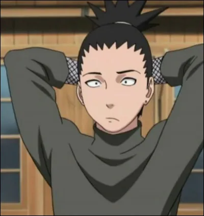 Quel est le nom de famille de Shikamaru ?