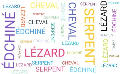 Quel est votre animal préféré ?