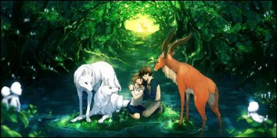 Quel animal contamine Ashitaka ?