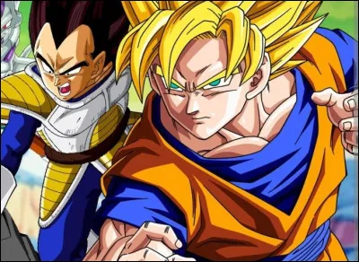 Quel combat préfères-tu ?