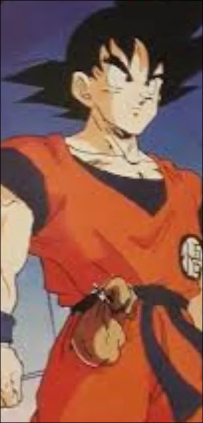 Quel objet préfères-tu ?