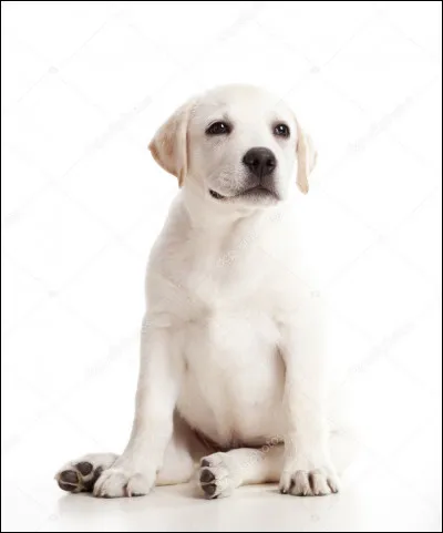 Combien de temps va-t-il rester seul ?