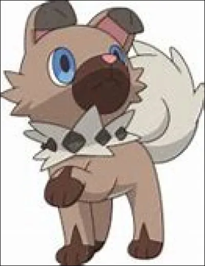 De quel type est ce Pokémon ?