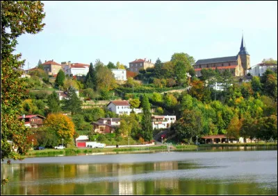 Petite ville de Lorraine, proche de l'ancien bassin sidérurgique, sous-préfecture de Meurthe-et-Moselle :