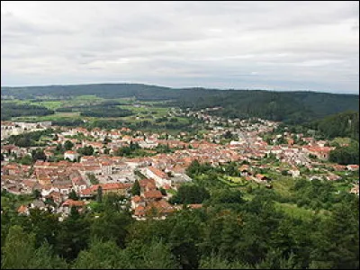 Petite ville de 3000 habitants du département des Vosges, située un plateau entre les vallées de la Vologne et de la Mortagne :