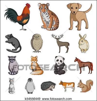 Ton animal totem est...