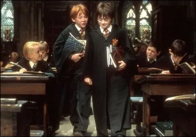 Où Harry rencontre-t-il Ron pour la première fois ?