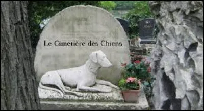 Où se situe le cimetière des Chiens considéré comme le premier cimetière pour animaux de l'ère moderne ?