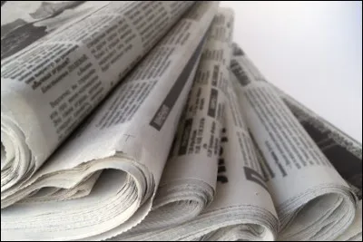 Par quel mot désigne-t-on la collection de journaux ?