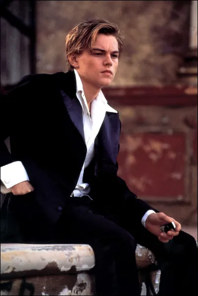 À quelle famille appartient Roméo ?