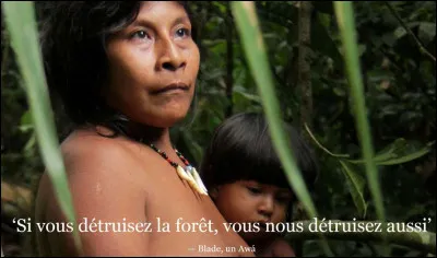 Trouvez la tribu qui se démarque des autres !