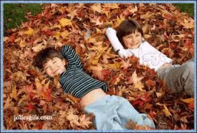 L'un des quatre est un intrus !