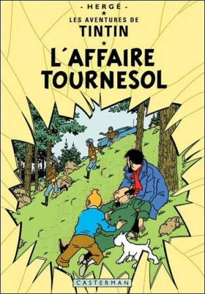 On va encore se la faire Tournesol, la belle affaire... Quel est le détail qui tue ?