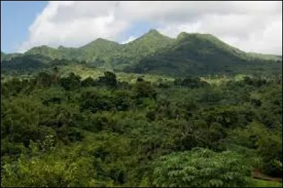 Le mont Sainte-Catherine est le point culminant de l'île de Grenade : quelle est son altitude ?