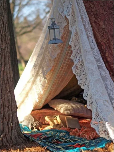 Quelle est la capitale de l'Argentine ?