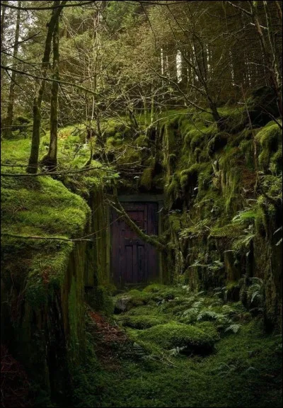 Quelle est la capitale de l'Allemagne ?