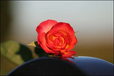 Quelle est la capitale de la Bulgarie ?