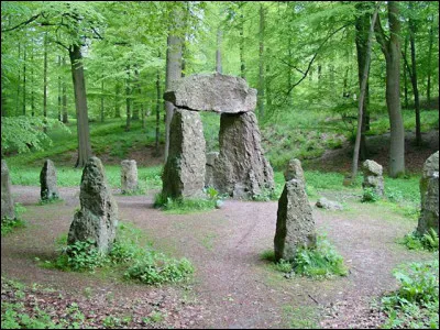Quelle forêt, qui s'étirait de la Loire à la Seine, était le centre de la Gaule et le siège du culte druidique ?