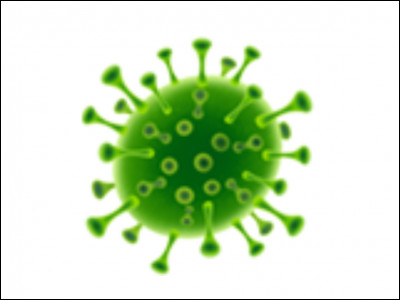 Qu'est-ce que le Coronavirus ?