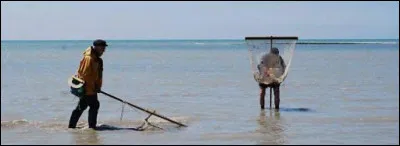 Je connais bien la côte anglaise - D'où l'on voit le pays breton !