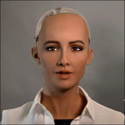 Quelle est la capacité exceptionnelle de Sophia ?