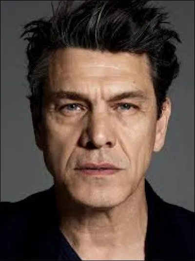 En plus d'être chanteur, quel autre métier pratique Marc Lavoine ?