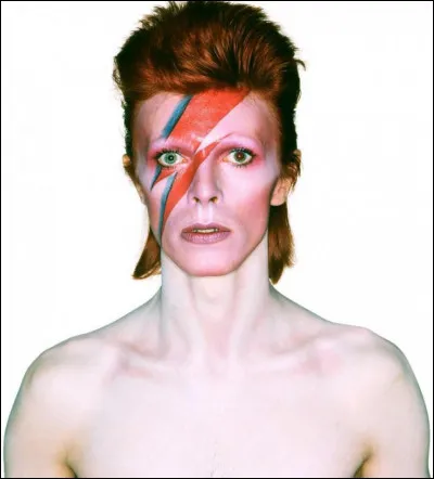 Il accède à la notoriété en incarnant le personnage flamboyant Ziggy Stardust dans l'un de ses albums.