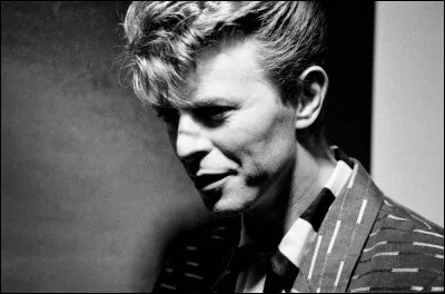 Son premier grand rôle au cinéma est celui de Ponce Pilate dans "La Dernière Tentation du Christ" en 1988.