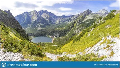 Qui chantait "Que la montagne est belle" ?