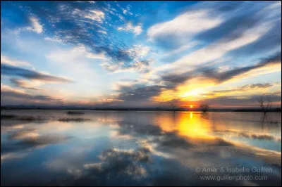 Où est située la Montagne Pelée ?