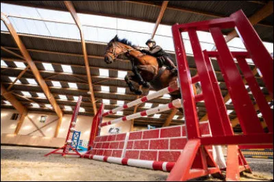 Pourrais-tu me donner le nom de cet obstacle ?